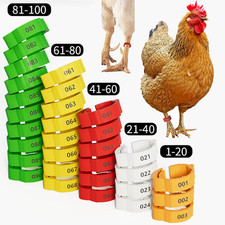 16mm 100 Pcs Adjustable Poultry Leg Bands,Chicken Leg Rings,Duck Leg Bands,5 ...