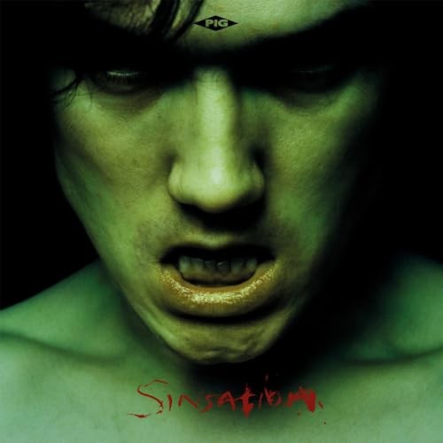 Pig - Sinsation - Cd - F72Z-image