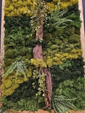 Decorations for home moss art,  natural and artifitial parts