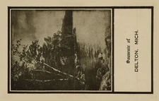 Vintage Postcard Souvenir of Delton, Michigan RPPC Scenic View