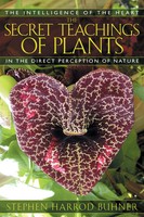 The Secret Teachings Of Plants | Stephen Harrod Buhner | Englisch | Taschenbuch