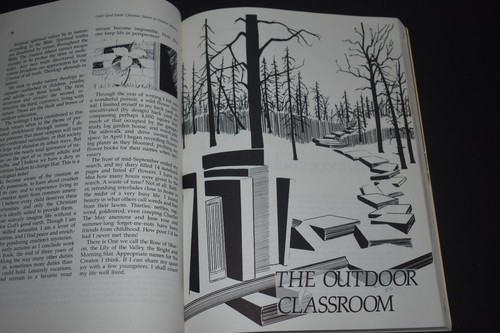 GOD'S GOOD EARTH ~ CHRISTIAN VALUES IN OUTDOOR EDUCATION ~ MATTSON ~ HOMESCHOOL - Picture 8 of 12
