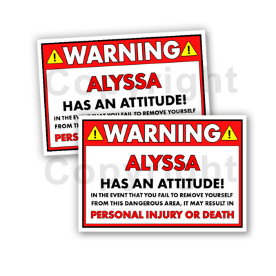 Alyssa HAS AN ATTITUDE 2 Funny Warning Stickers 5'' wide Orange - 2 Decals