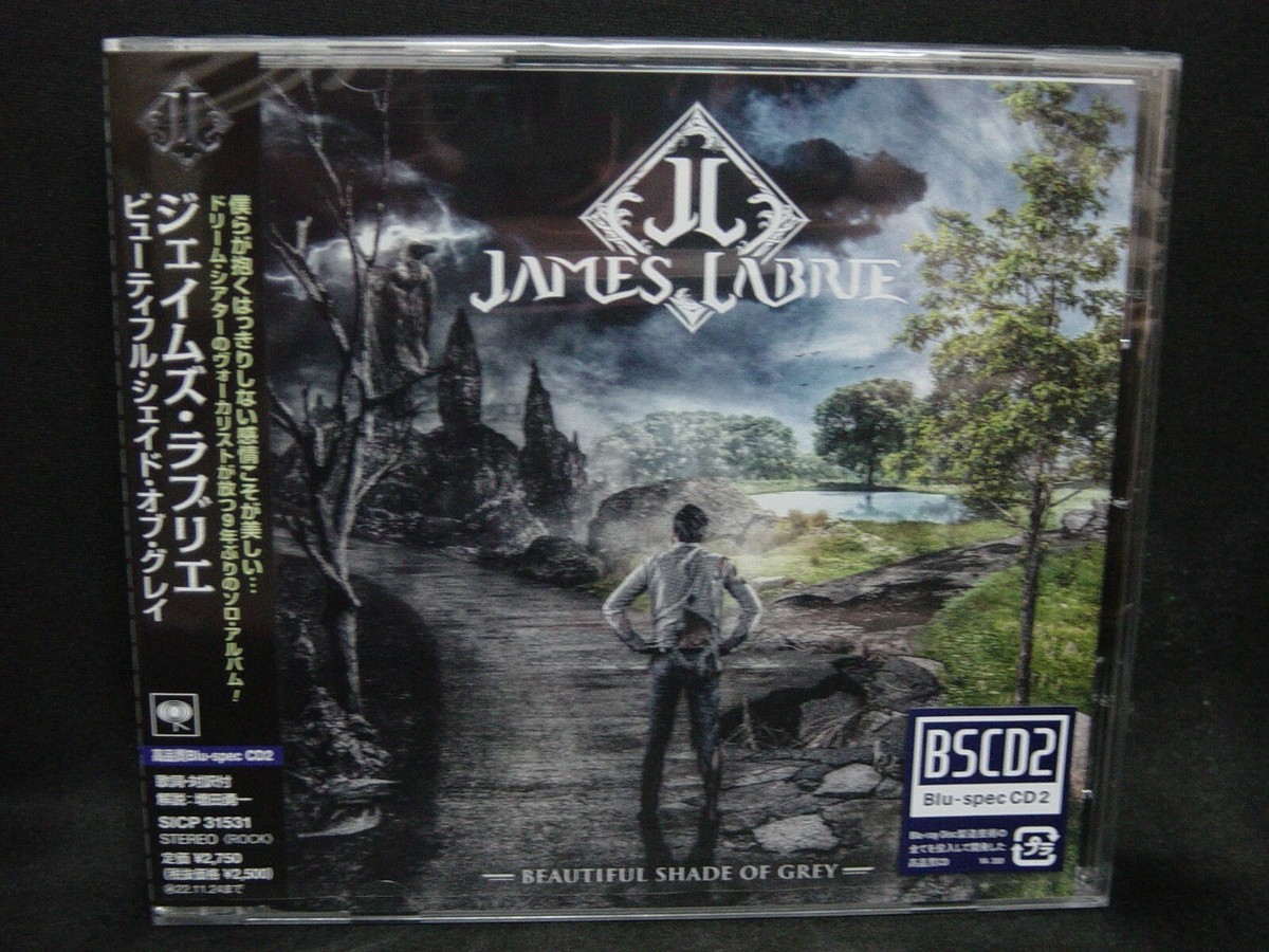 D-SHADE セット　ソロ曲　DVD ベストアルバム D-SHADE セット ソロ曲 DVD ベストアルバム