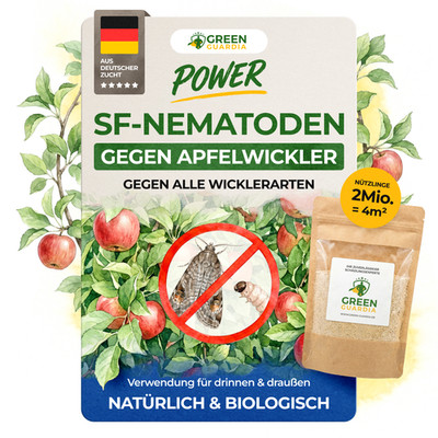 SF Nematoden gegen Apfelwickler 2 Mio. für 4 m²- effektiv Apfelwickler bekämpfen