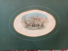 castagno cento cavalli Sant'Alfio Etna acquaforte originale 1870 stampa antica