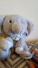 Video 1 von 1