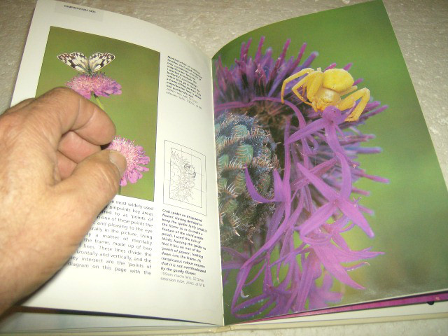 Picture 6 of 8