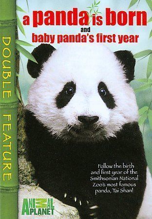Panda is Born - A Baby Pandas First Year (DVD, 2008) - Imagen 1 de 1
