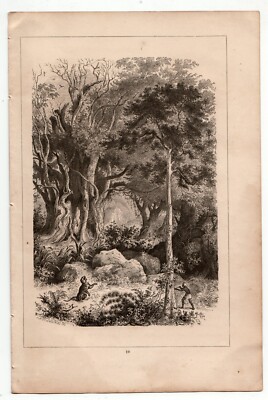 LITHOGRAPHIE Great for framing 1864 Tiger hunt