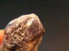 Bild 4 von 4