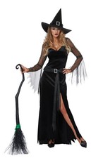 California Costume Rich Witch Adult 01440