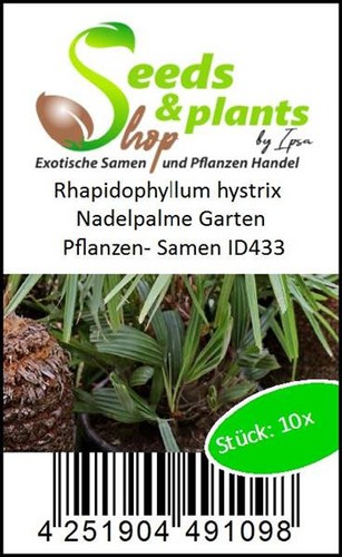 10x Rhapidophyllum hystrix Nadelpalme Garten Pflanzen - Samen ID433 - Picture 3 of 9