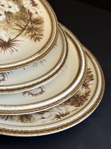70’s Boho Salad Plates Set 4 Mikasa International Nature’s Gallery Rolling Hills - Picture 6 of 19