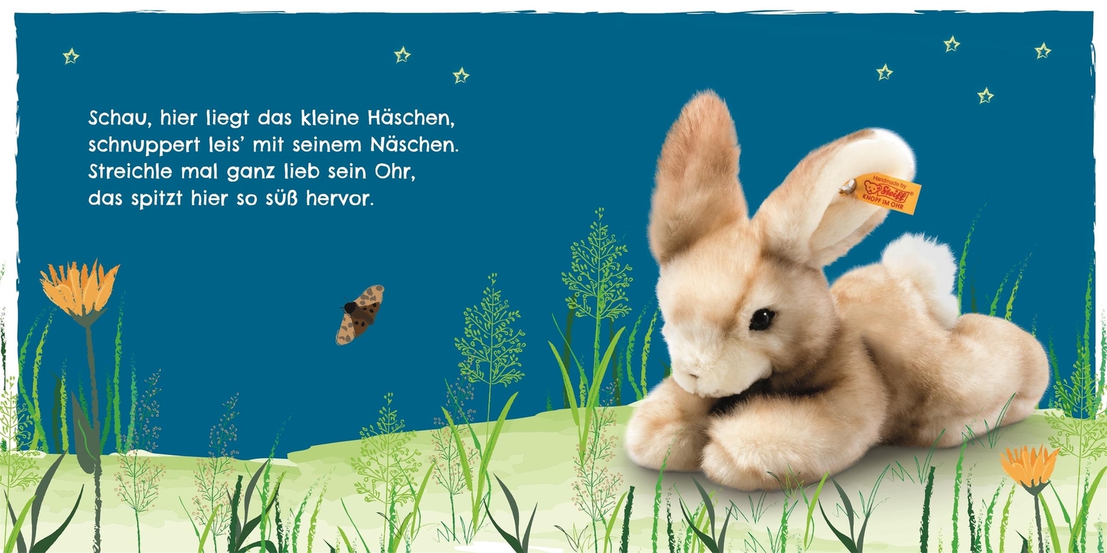 Thumbnail - Sandra Grimm Mein Liebstes Kuscheltierbuch. Schlaf Gut 9783831044023