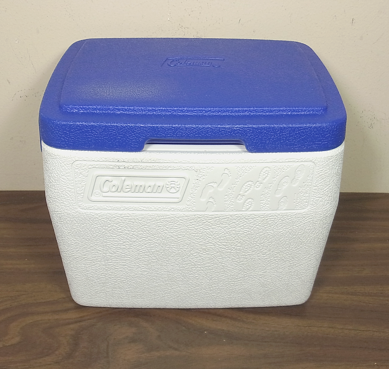 glass front coolers for sale