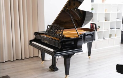 Bechstein B203 (6'6'')