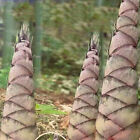 Bild 3 von 12