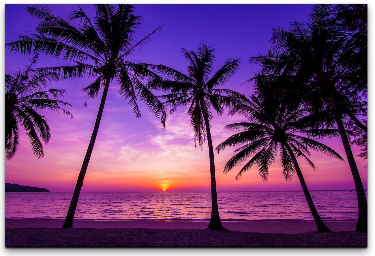 Palmen und Meer Wandbild in verschiedenen Größen