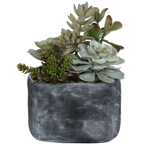 Uttermost 60173 Alverio 10"W Contemporary Desert Garden Succulent - Green - Picture 3 of 3