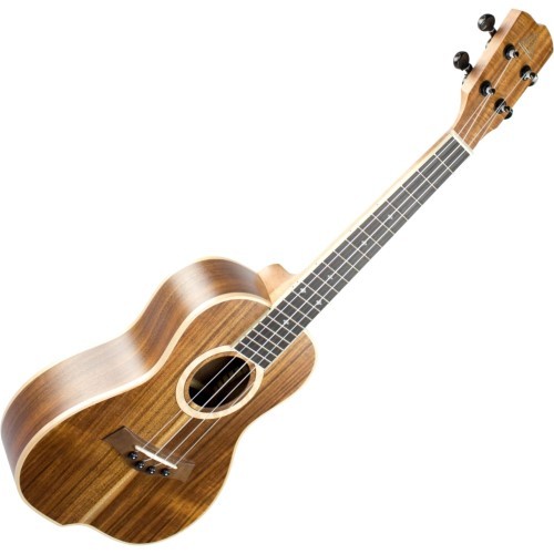 Shape Swing Koa Konzert-Ukulele | Neu