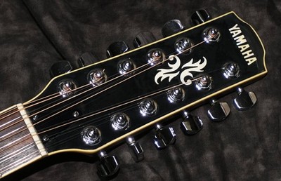 Electric Acoustic Guitar Yamaha APX-9-12 Black 12-String | eBay