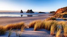 Landscape nature sky plants sand water beach coast Custom Gaming Mat Desk