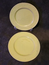 Lake Como by OverandBack Avocado Green Salad Plates Set Of 2