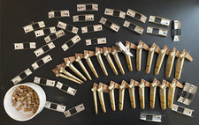 23 Vintage Pipe Organ Tabs and Brackets Ivory