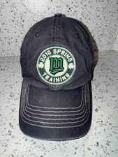 Minnesota Twins Hat 2010 Spring Training MLB Gray Cap Adjustable 47