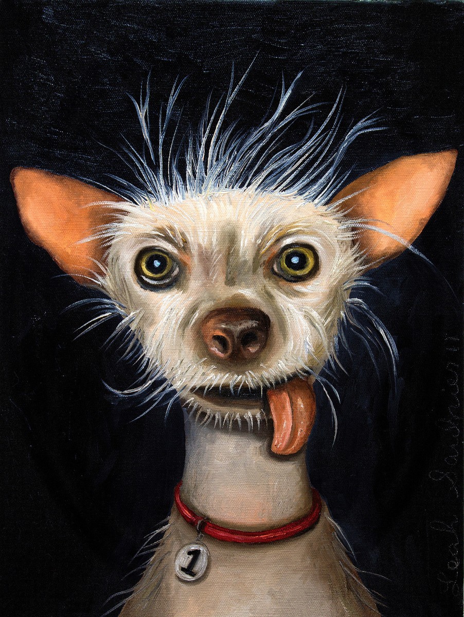 Dog Breed Ugly Dog Show UGLY DOG Chinese Crested CHIHUAHUA Canine