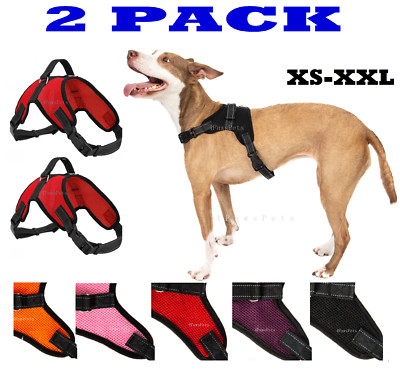 gkc dog harness