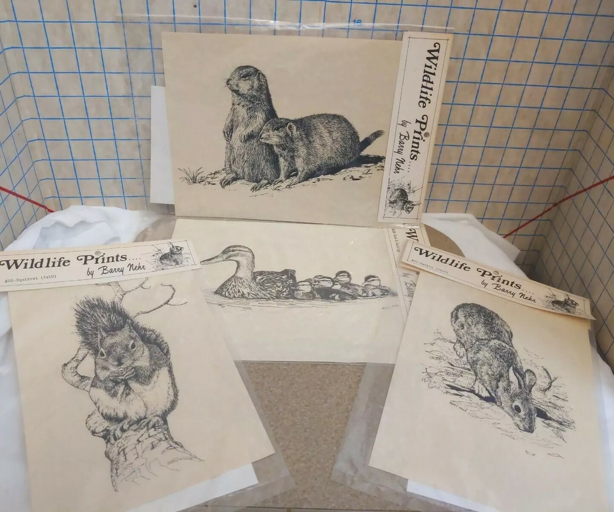 Vtg Barry Nehr Wildlife Prints (4) Rabbit Squirrel Duck