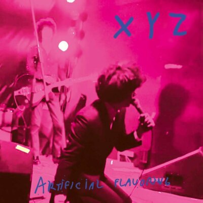 XYZ - ARTIFICIAL FLAVORING VINYL LP NEUF | eBay
