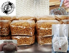 1.5 Qt Organic Sterilized Grain Bag w/ Self-Healing Injection Port .2 micronHEPA