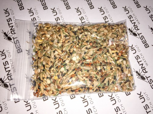 Live Queen Ant Food Jelly Harvester Ants Organic Seeds Mix Protein Best Ants UK - Picture 2 of 15