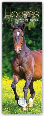 Horses - Pferde 2026 - Slimline-Kalender | Carousel Calendar | Deutsch | 14 S.
