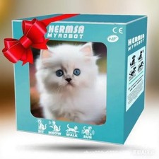 2026 Hot sale Realistic Kitten Robot Activity Short Plush Toy white cat