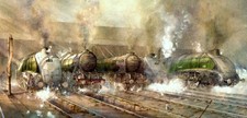 Steam Trains Mallard Flying Scotsman Amadis Wild Swan Silver Fox at Kings Cross