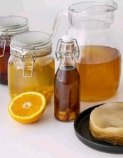 Live Kombucha Scoby And 1 CUP of Strong Starter Tea Healthy Probiotic Drink