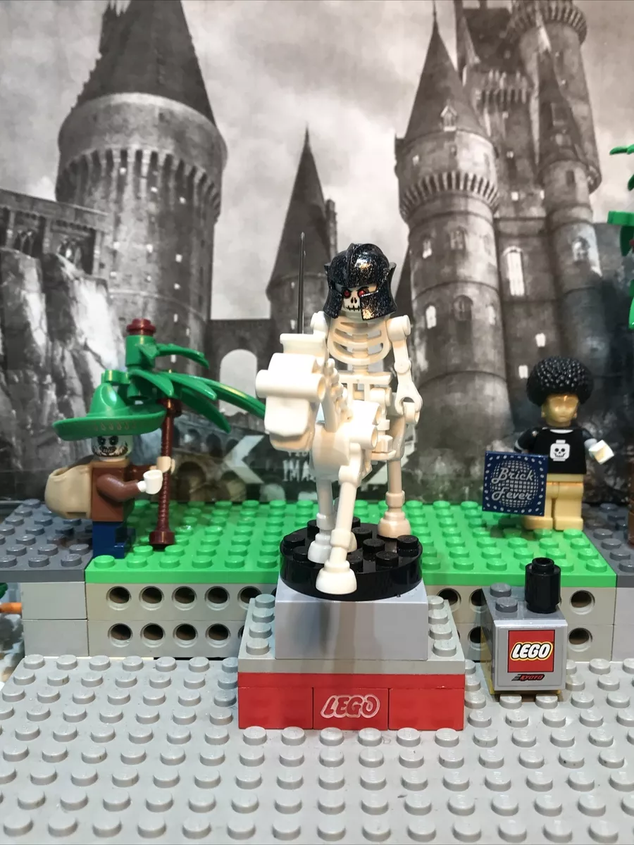 Lego castle store sets 2007