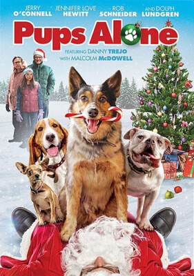 Pups Alone [DVD], DVD NTSC,DVD
