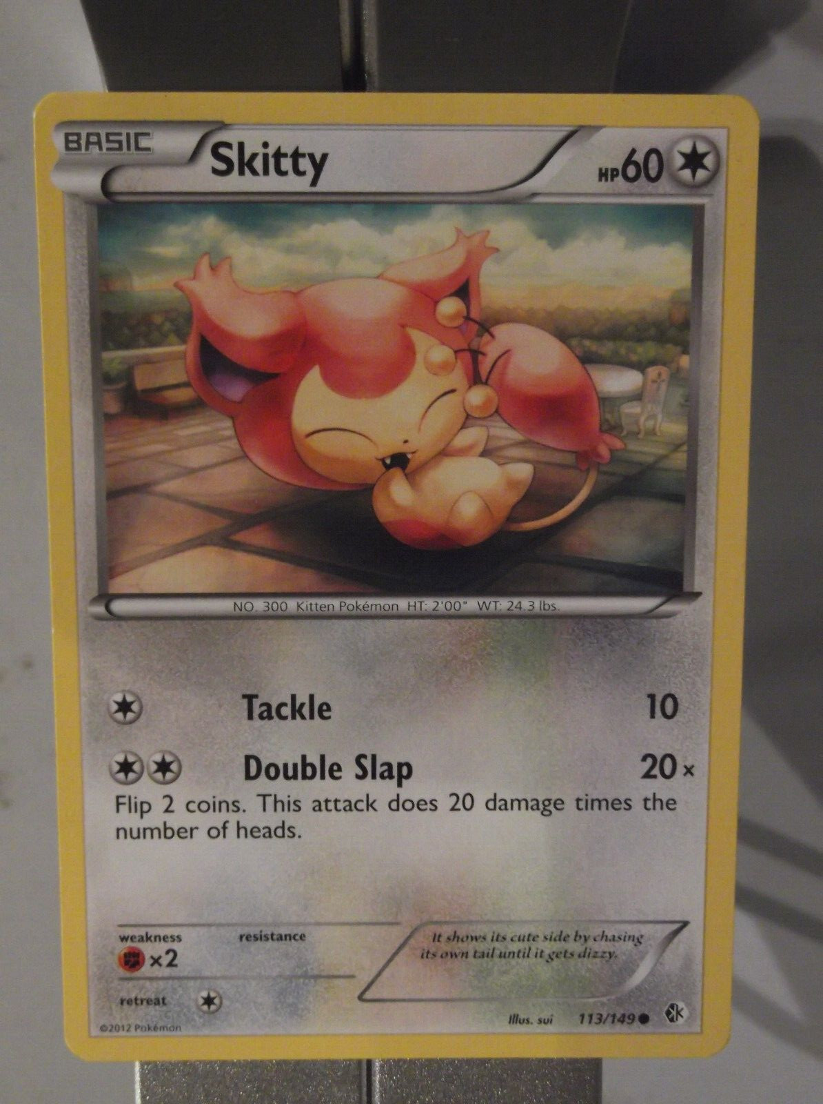 070PK113 - Skitty - 113/149 - Boundaries Crossed - Uncommon *