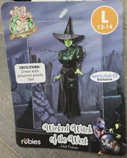 Wizard of Oz Wicked Witch Adult Premium Costume, LRG