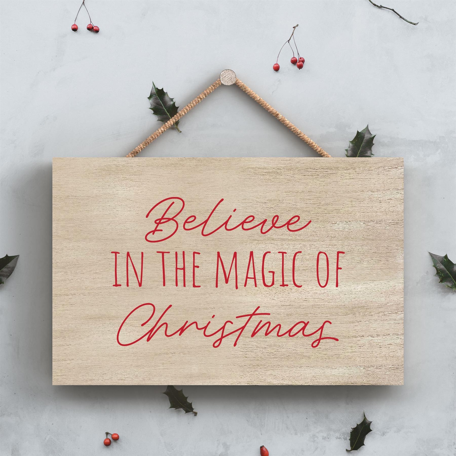 Believe In The Magic Of Christmas Humorous Typography Wooden Hanging Plaque