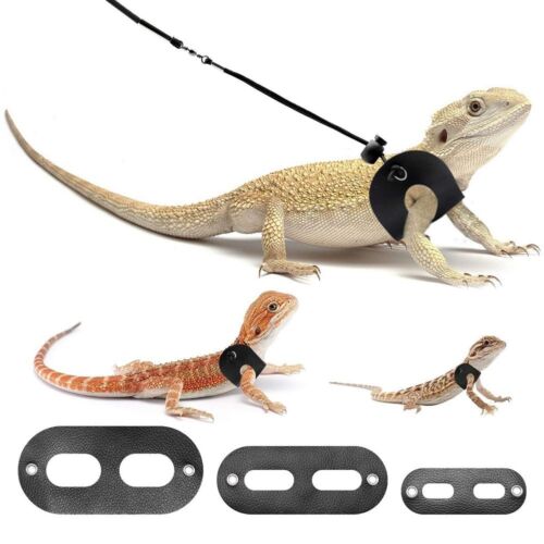 3Pcs/set Bearded Dragon Harness Reptile Leash and Harness Lizard Walking Rope. - Afbeelding 1 van 12