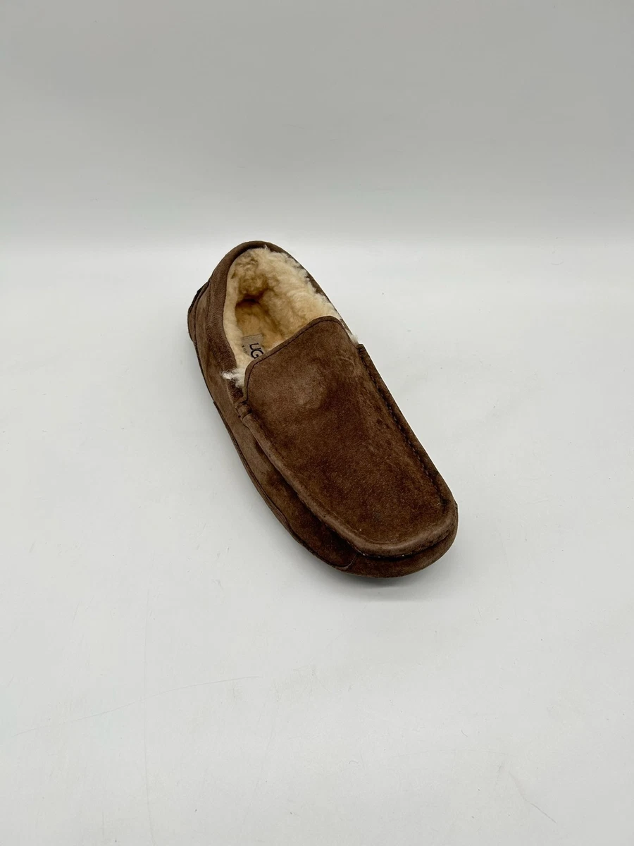 UGG Ascot Herren Hausschuhe Braun EUR 40,5