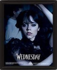 Wednesday 3D Frame: Goo Goo Muck 24x28cm