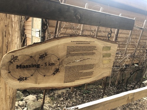 Propolis Flüssig 20 ml Tropfen Flasche aus Unsere Region Rottal-in Bayern - Bild 7 von 8