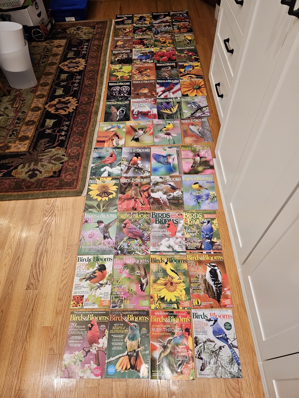Birds & Blooms Magazine Lot of 52 Issues Gardening Hummingbirds Nature 2000-2018